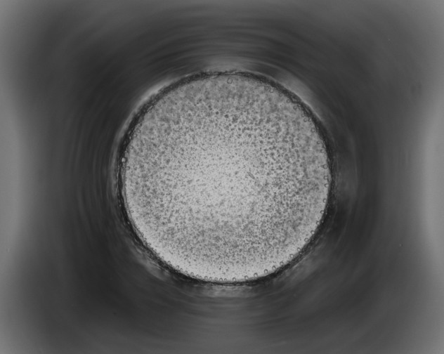 X0000083560832200703021716