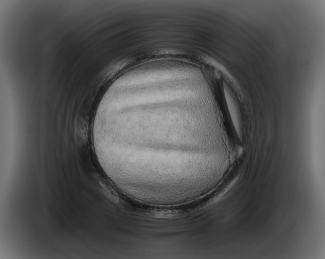 X0000083560833200703021716