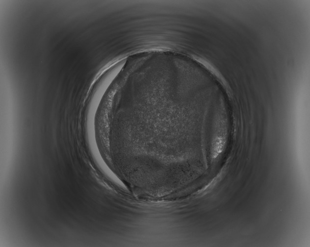 X0000083560834200703021716