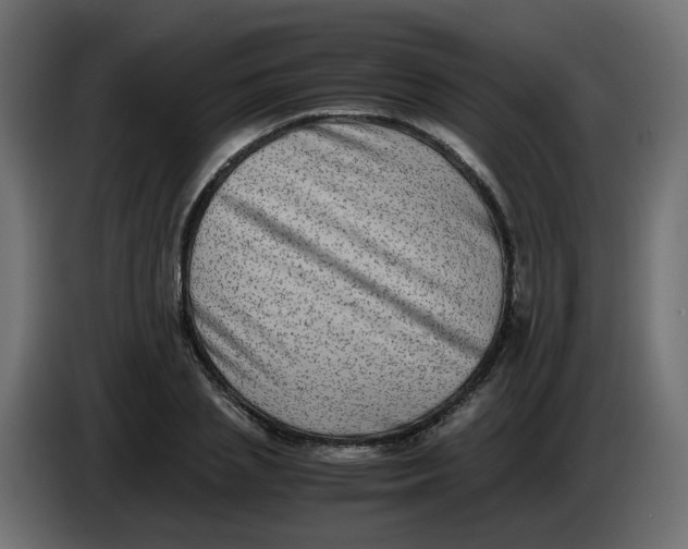 X0000083560837200703021716