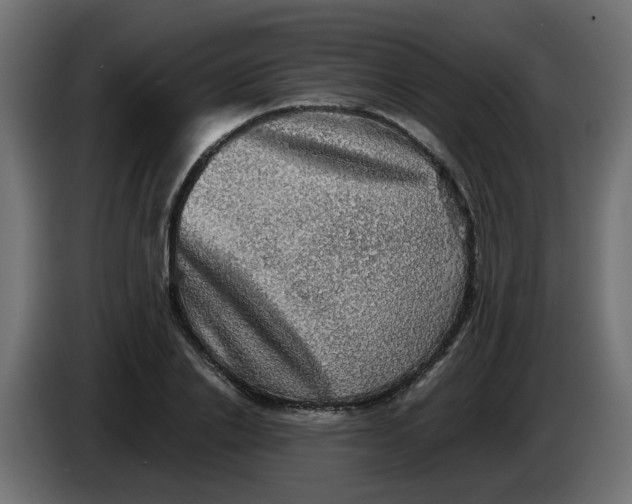 X0000083560838200703021716