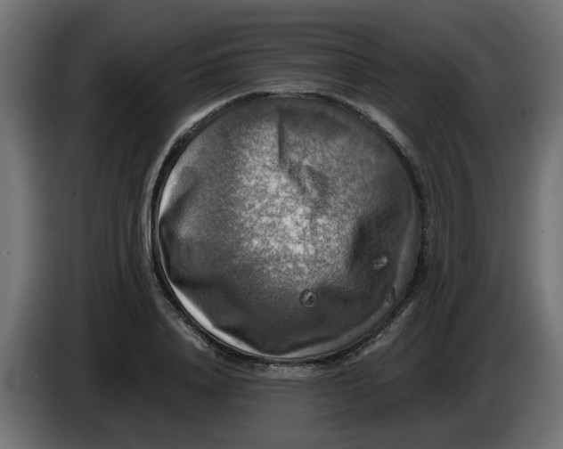 X0000083560840200703021716