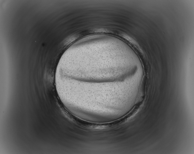 X0000083560841200703021716