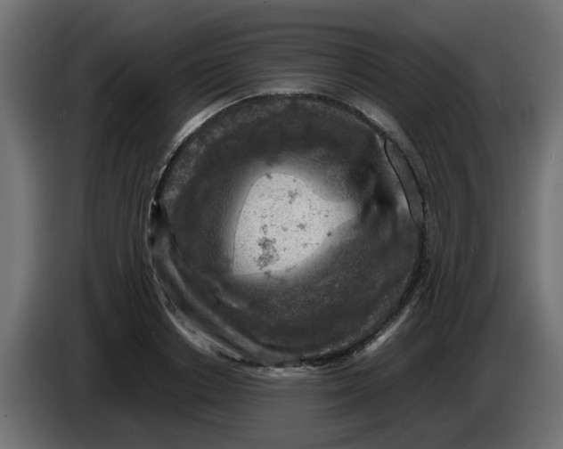 X0000083560842200703021716