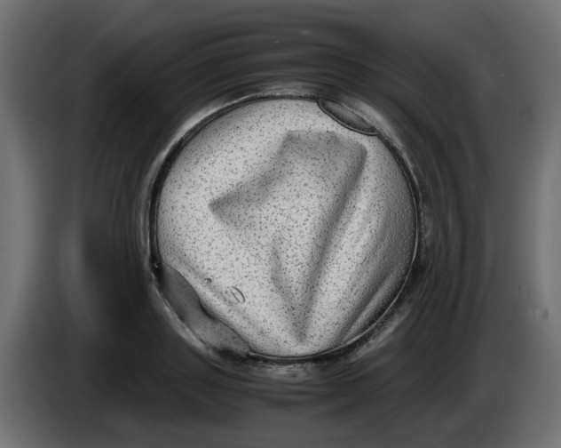 X0000083560843200703021716