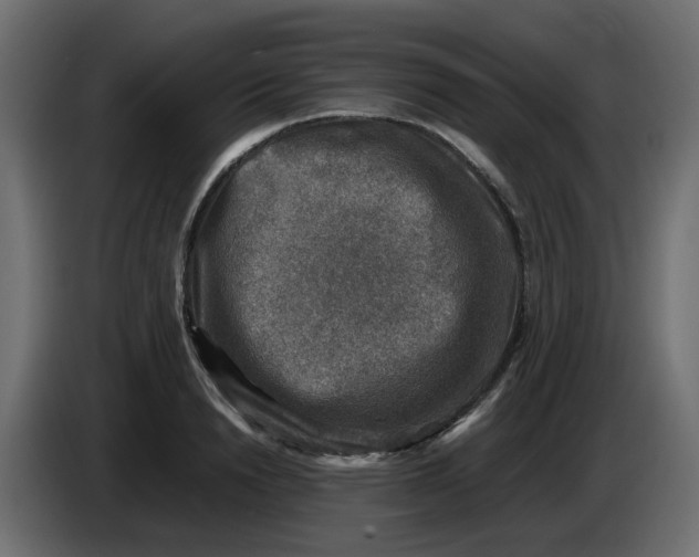 X0000083560846200703021716