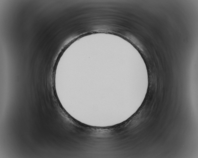 X0000083560848200703021716