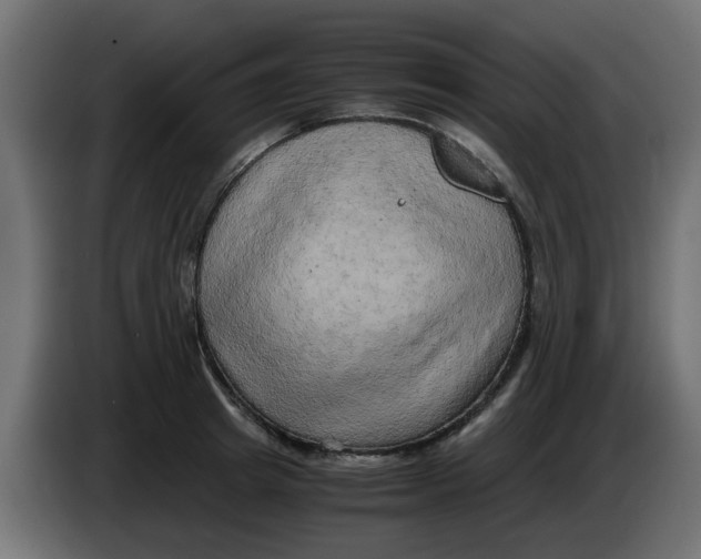 X0000083560849200703021716