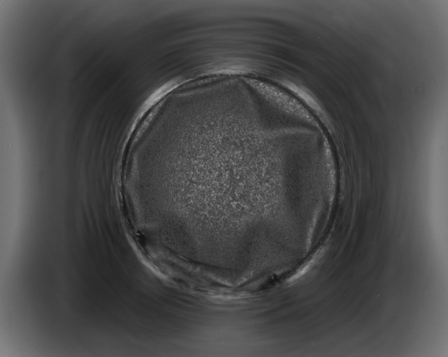 X0000083560850200703021716