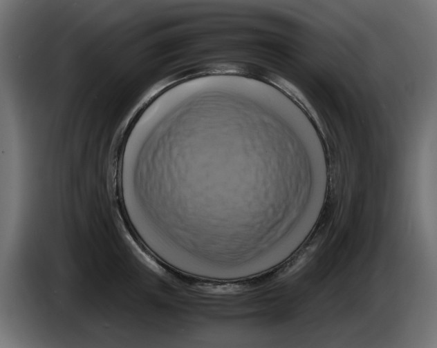 X0000083560851200703021716