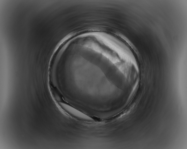 X0000083560853200703021716