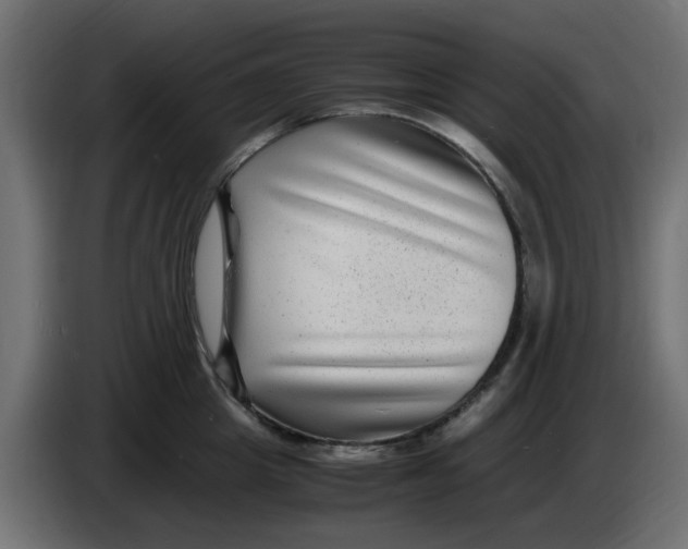 X0000083560857200703021716