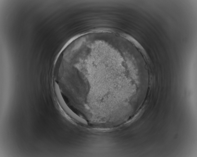 X0000083560860200703021716