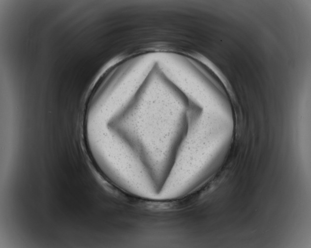 X0000083560861200703021716