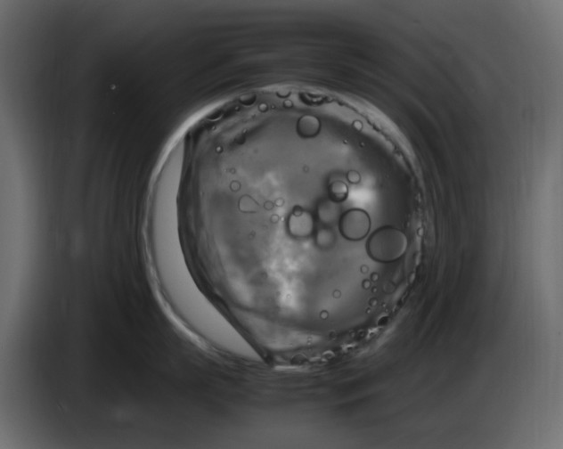 X0000083560863200703021717