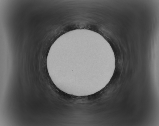 X0000083560865200703021716