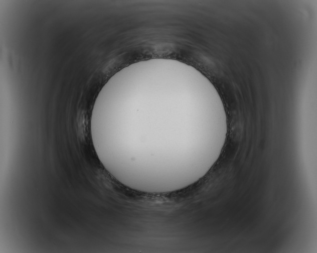 X0000083560866200703021716