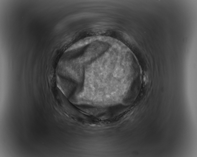 X0000083560867200703021716