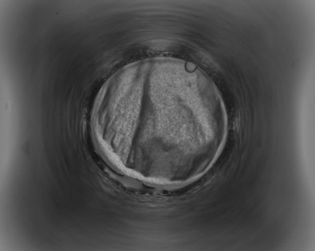 X0000083560868200703021716