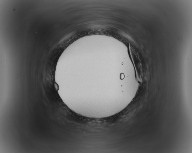 X0000083560869200703021716