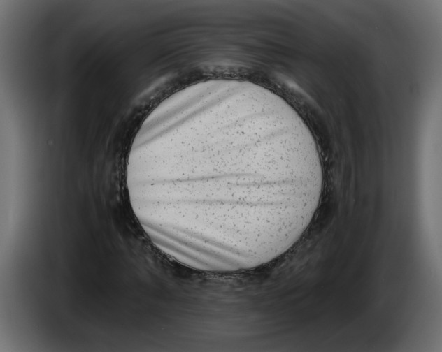 X0000083560870200703021716