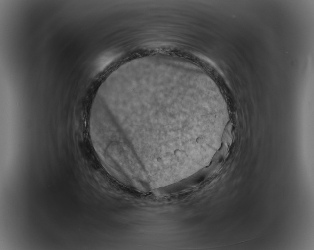 X0000083560871200703021716