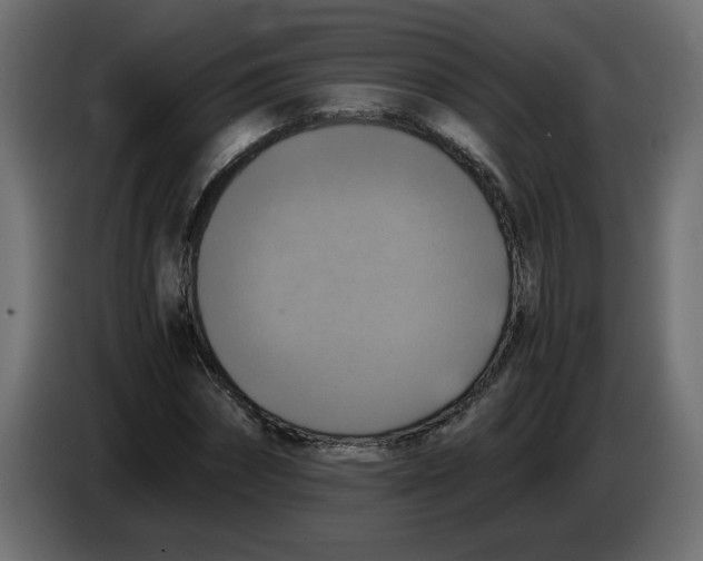 X0000083560874200703021716