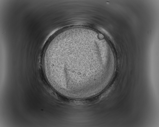 X0000083560875200703021716