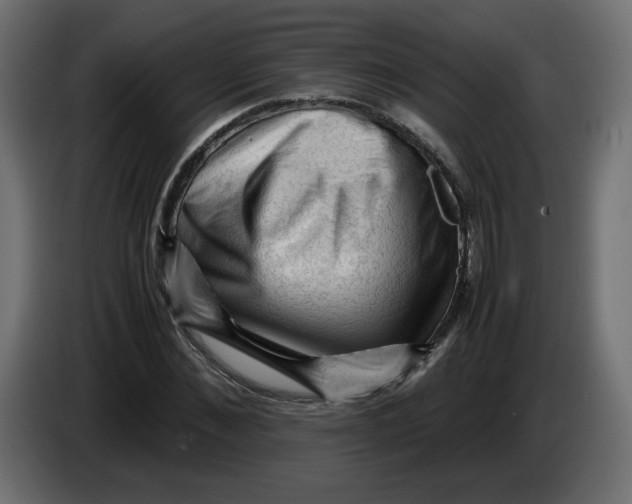 X0000083560876200703021715