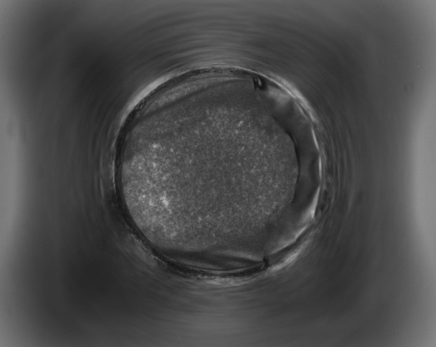 X0000083560877200703021715