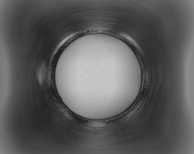 X0000083560878200703021715