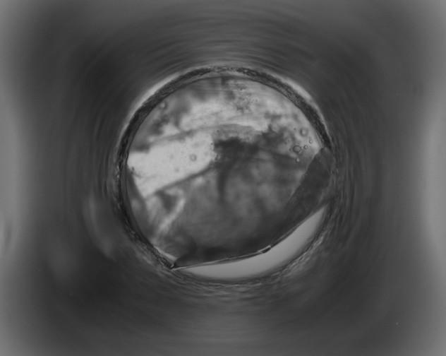 X0000083560879200703021715