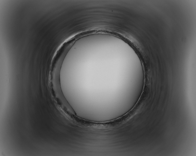 X0000083560880200703021715