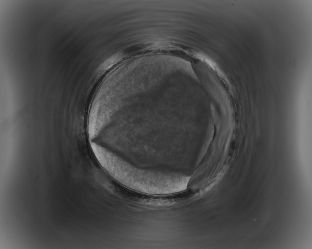 X0000083560881200703021715