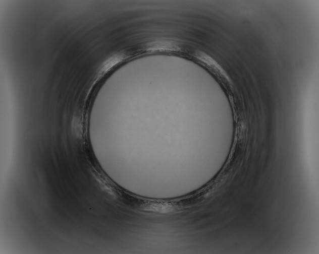 X0000083560882200703021715