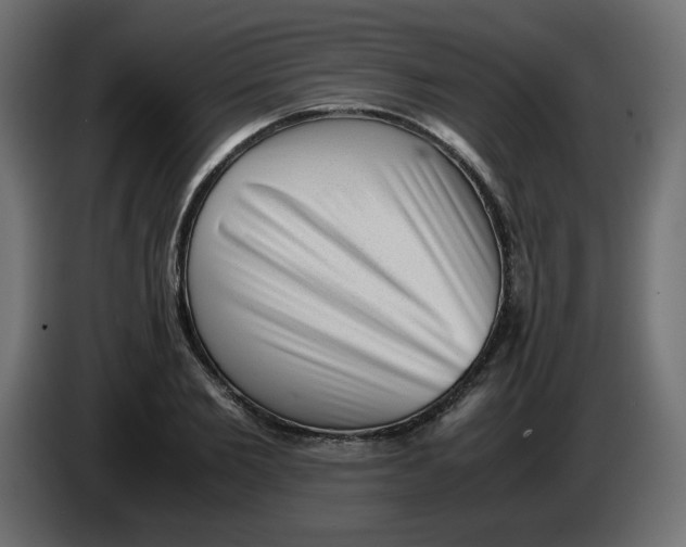 X0000083560885200703021715