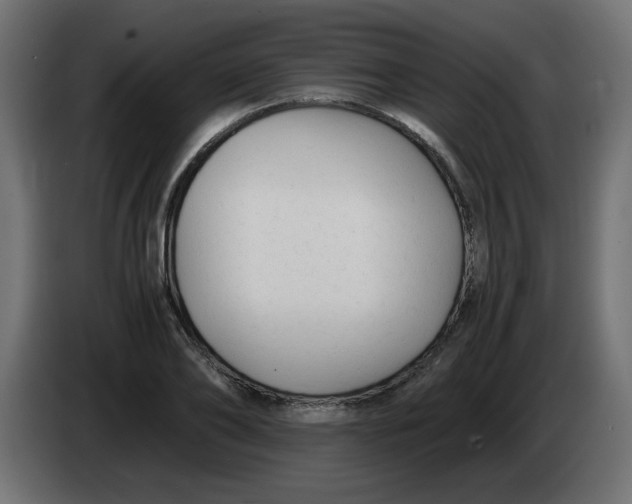 X0000083560886200703021715