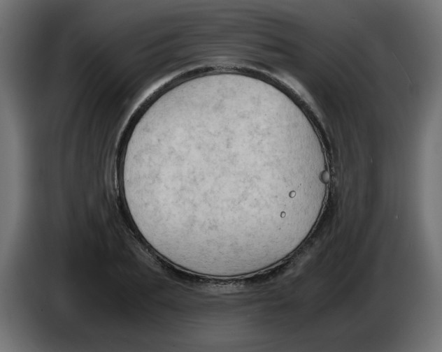 X0000083560887200703021715