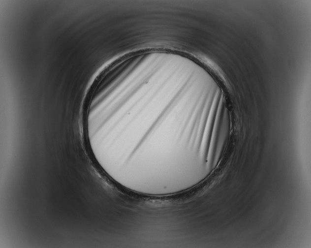 X0000083560888200703021715