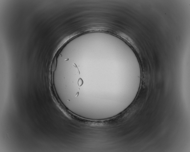 X0000083560890200703021715