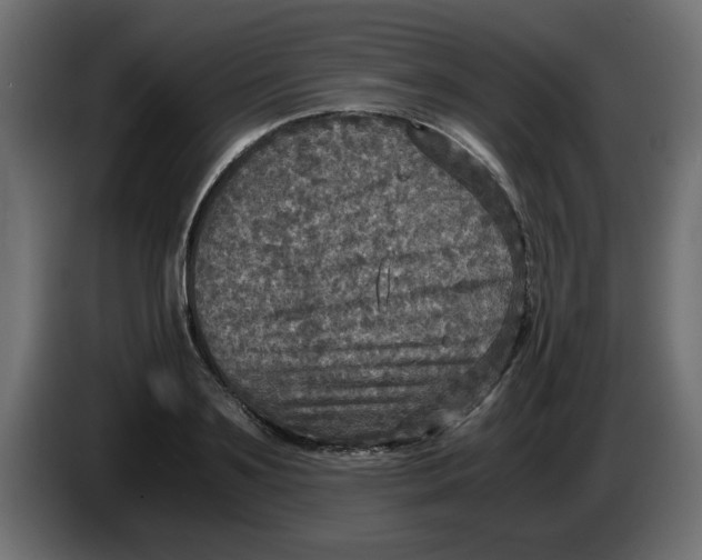 X0000083560891200703021715