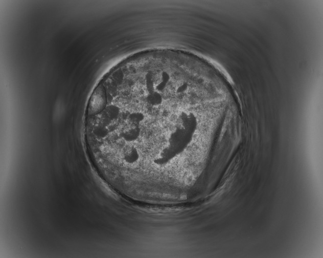 X0000083560895200703021715