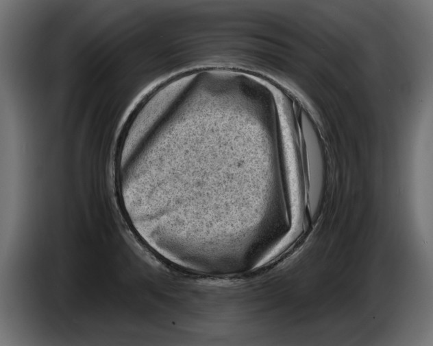 X0000083560896200703021715