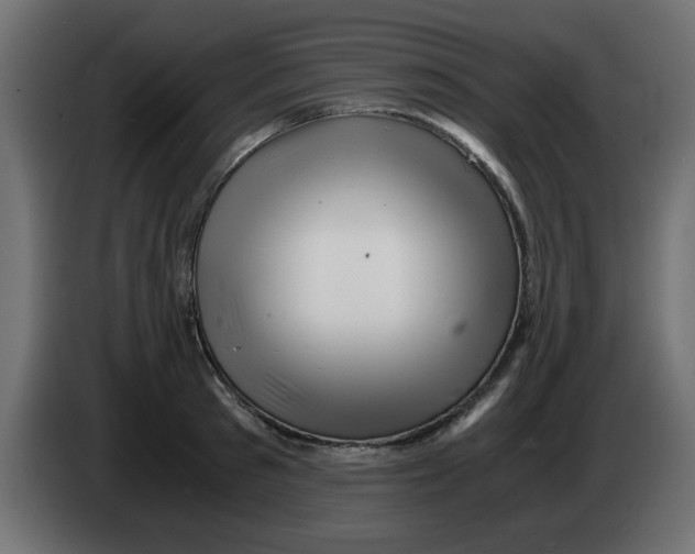 X0000083560897200703021715