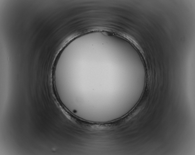 X0000083560898200703021715