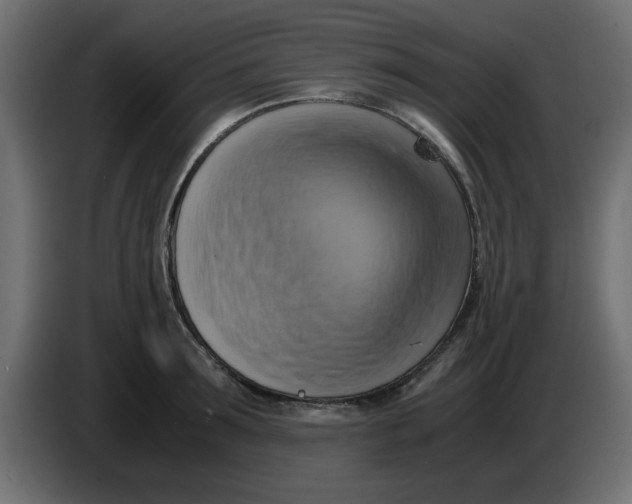 X0000083560899200703021715