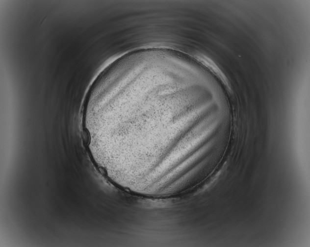 X0000083560900200703021715