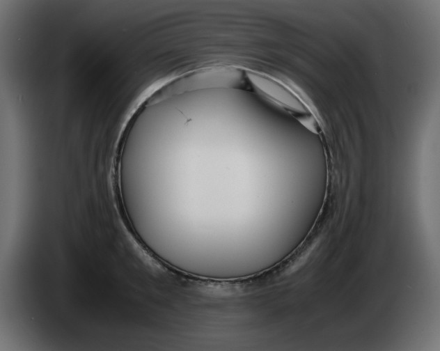 X0000083560901200703021715