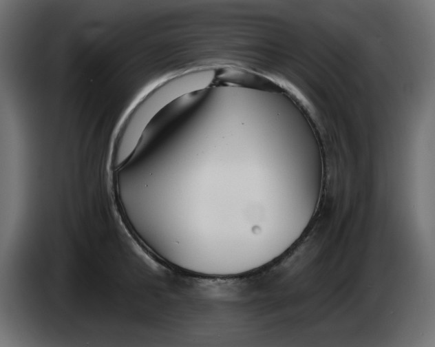 X0000083560902200703021715