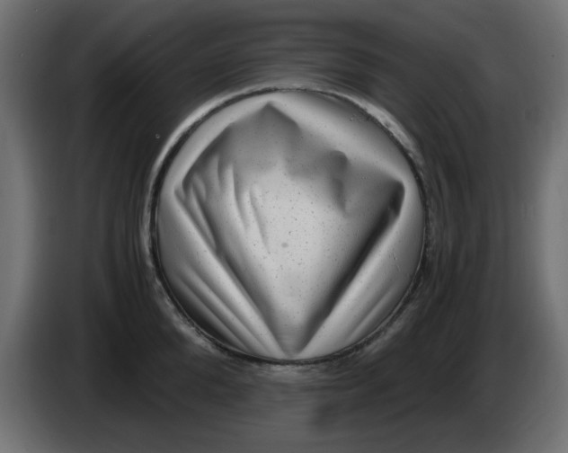 X0000083560904200703021715